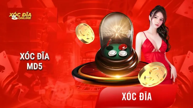 Bật mí kinh nghiệm chơi Xóc Đĩa 3D MD5 hiệu quả Bật mí kinh nghiệm chơi Xóc Đĩa 3D MD5 hiệu quả