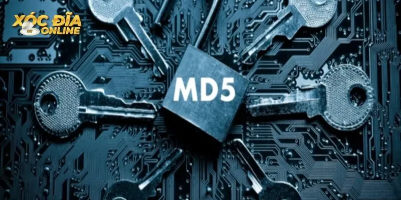 Tìm hiểu mã băm MD5 là gì?