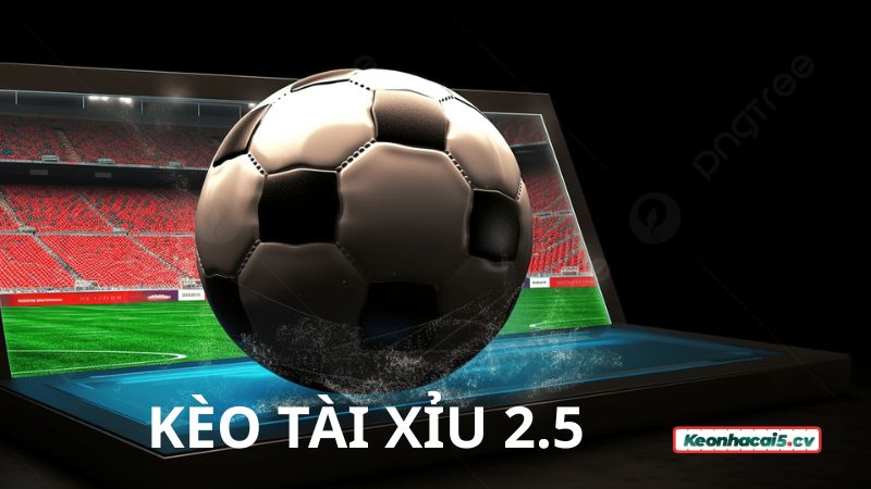 Kèo 2.5 mang đến sự kịch tính, hấp dẫn cho người chơi khi trải nghiệm